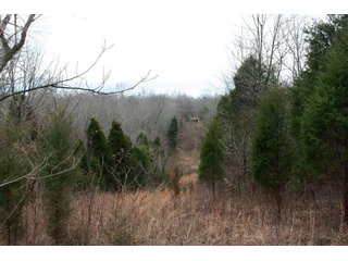 Property photo 13 - LAND AUCTION - 138+/- ACRES OFFERED IN 3 TRACTS IN SPENCER COUNTY, INDIANA